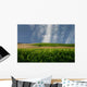 Charentais Landscape Wall Decal