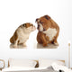 Two English Bulldog Kissing Wall Decal