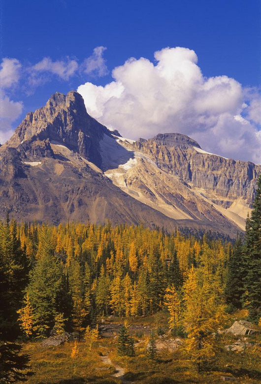 Scenic Mountain Wall Decal