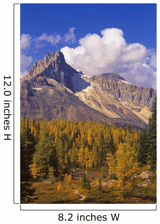 Scenic Mountain Wall Decal