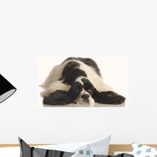 American Cocker Spaniel Wall Decal