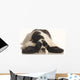 American Cocker Spaniel Wall Decal