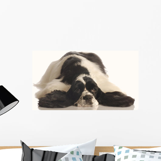 American Cocker Spaniel Wall Decal