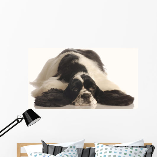 American Cocker Spaniel Wall Decal