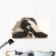 American Cocker Spaniel Wall Decal