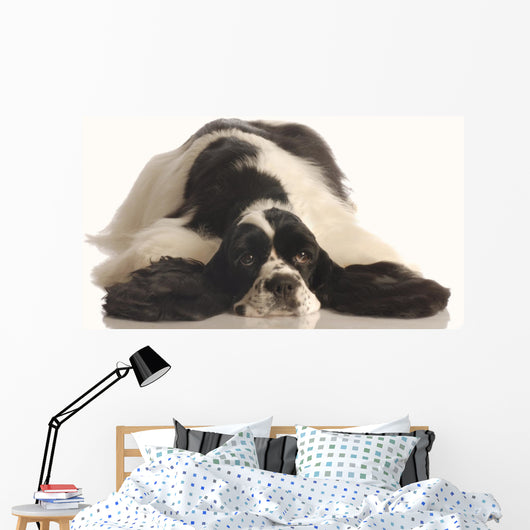 American Cocker Spaniel Wall Decal