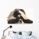 American Cocker Spaniel Wall Decal