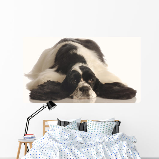 American Cocker Spaniel Wall Decal