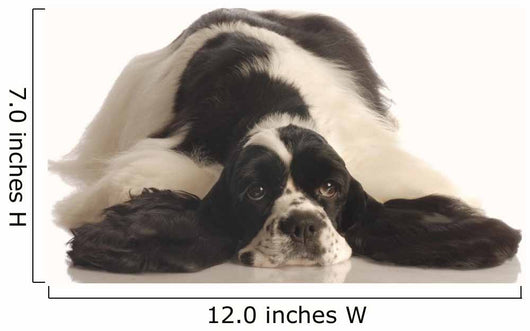 American Cocker Spaniel Wall Decal
