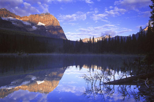 Beautiful Lake Wall Decal