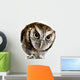 Wise Owl Wearing Glasses Wall Decal