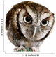 Wise Owl Wearing Glasses Wall Decal