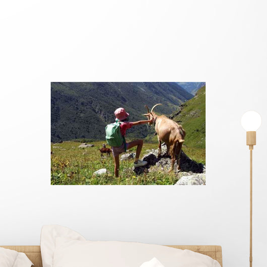 Meadow Wall Decal Design 3