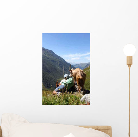 Meadow Wall Decal Design 2