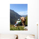 Meadow Wall Decal Design 2