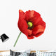 Poppy Flower Wall Decal