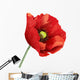 Poppy Flower Wall Decal
