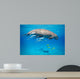 Snorkeling with Dugong Red Wall Decal