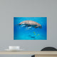 Snorkeling with Dugong Red Wall Decal