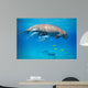 Snorkeling with Dugong Red Wall Decal