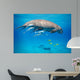 Snorkeling with Dugong Red Wall Decal