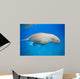 Dyson Dugong Wall Decal