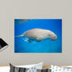 Dyson Dugong Wall Decal