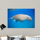 Dyson Dugong Wall Decal