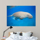 Dyson Dugong Wall Decal