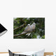 White Amoureux Bird Wall Decal