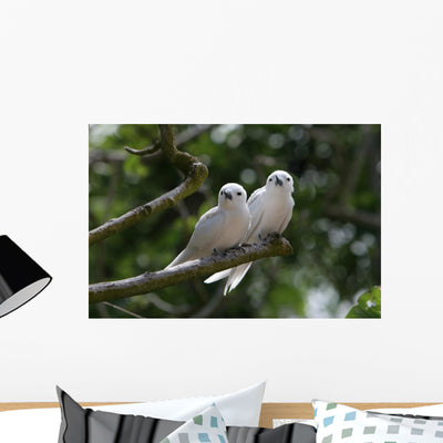 White Amoureux Bird Wall Decal shown on a wall