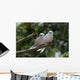 White Amoureux Bird Wall Decal