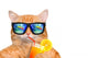 Cool Relaxing Cat Wall Decal
