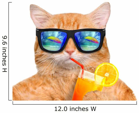 Cool Relaxing Cat Wall Decal