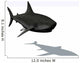Requin Wall Decal