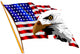 American Flag and Eagle Wall Decal
