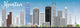 Houston Skyline with Gray Wall Decal