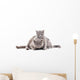 Two Gray Cat Wall Decal