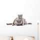 Two Gray Cat Wall Decal