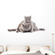 Two Gray Cat Wall Decal