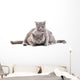 Two Gray Cat Wall Decal