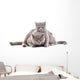 Two Gray Cat Wall Decal