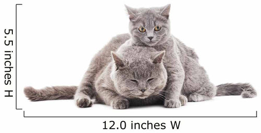 Two Gray Cat Wall Decal
