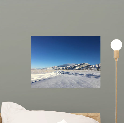 Long Snowy Driveway Montana Wall Decal
