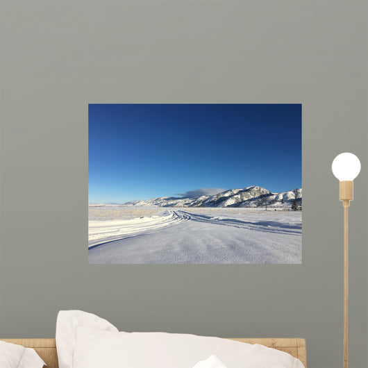 Long Snowy Driveway Montana Wall Decal