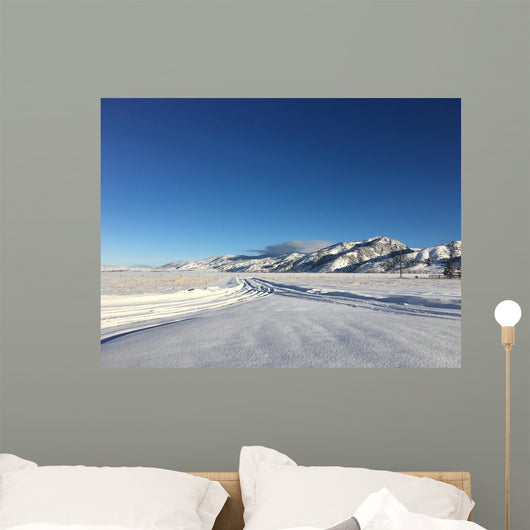 Long Snowy Driveway Montana Wall Decal