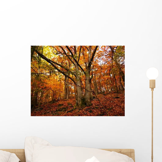 Day Forrest Wall Decal
