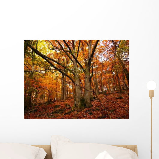 Day Forrest Wall Decal