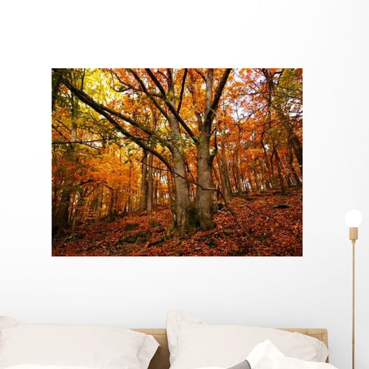 Day Forrest Wall Decal