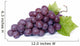 Grapes Wall Decal